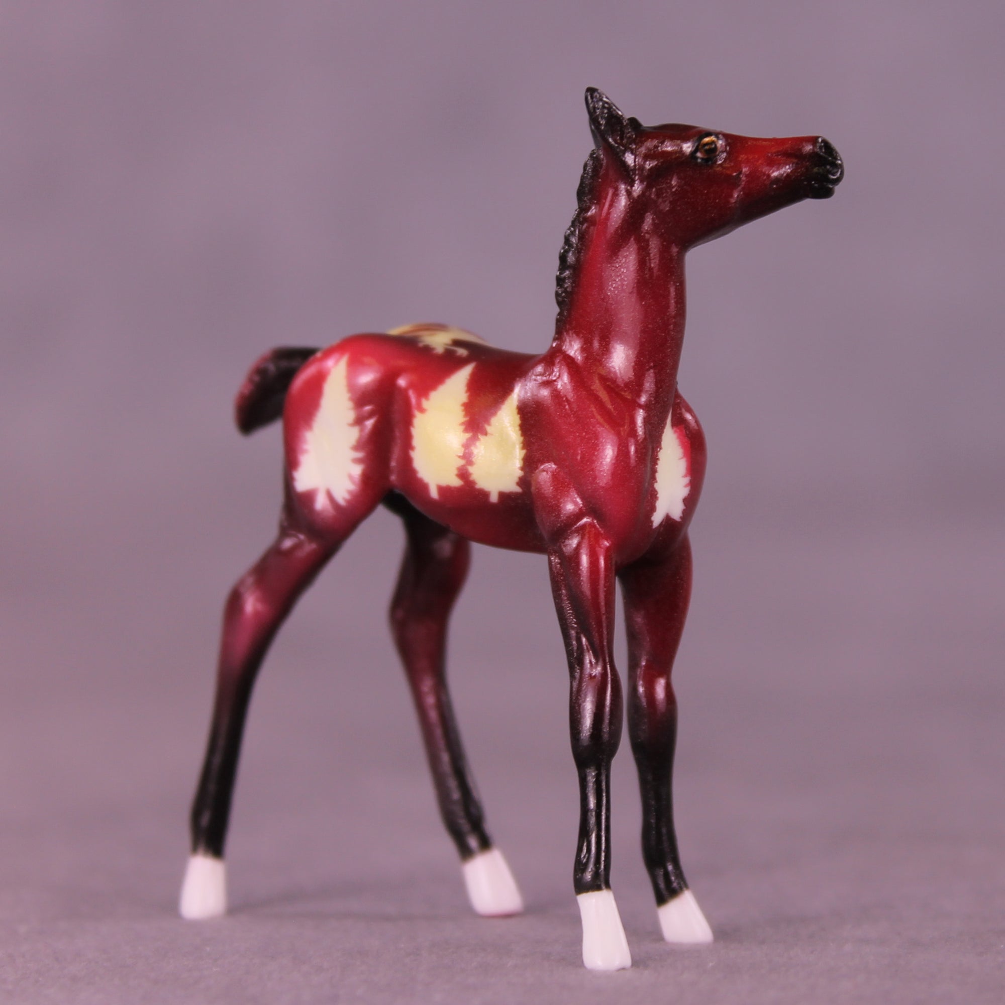 Frosty Puddlehop OOAK Chip Foal by Enrique Duarte HS25