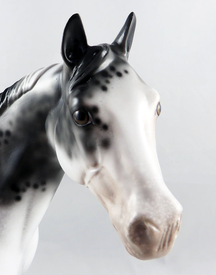 THE ROCK-OOAK APPALOOSA ISH MODEL HORSE 9/8