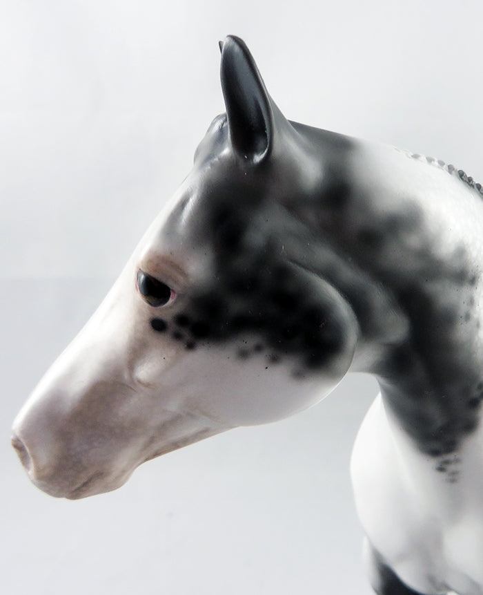 THE ROCK-OOAK APPALOOSA ISH MODEL HORSE 9/8