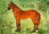 Gaja by Cinnamon Mew Mew