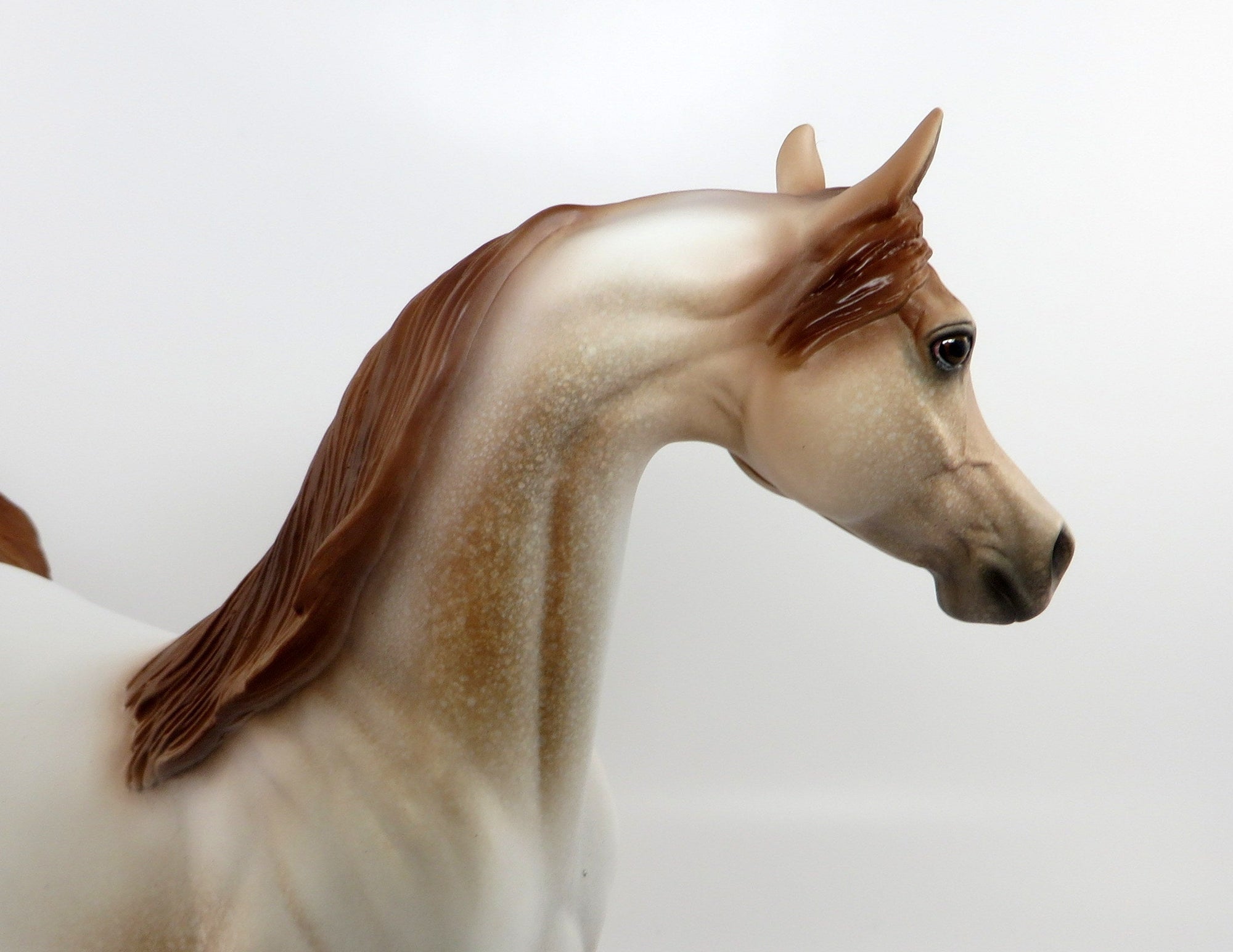 I&#39;M A GEM-OOAK CHESTNUT ROAN ARABIAN MODEL HORSE 2/20