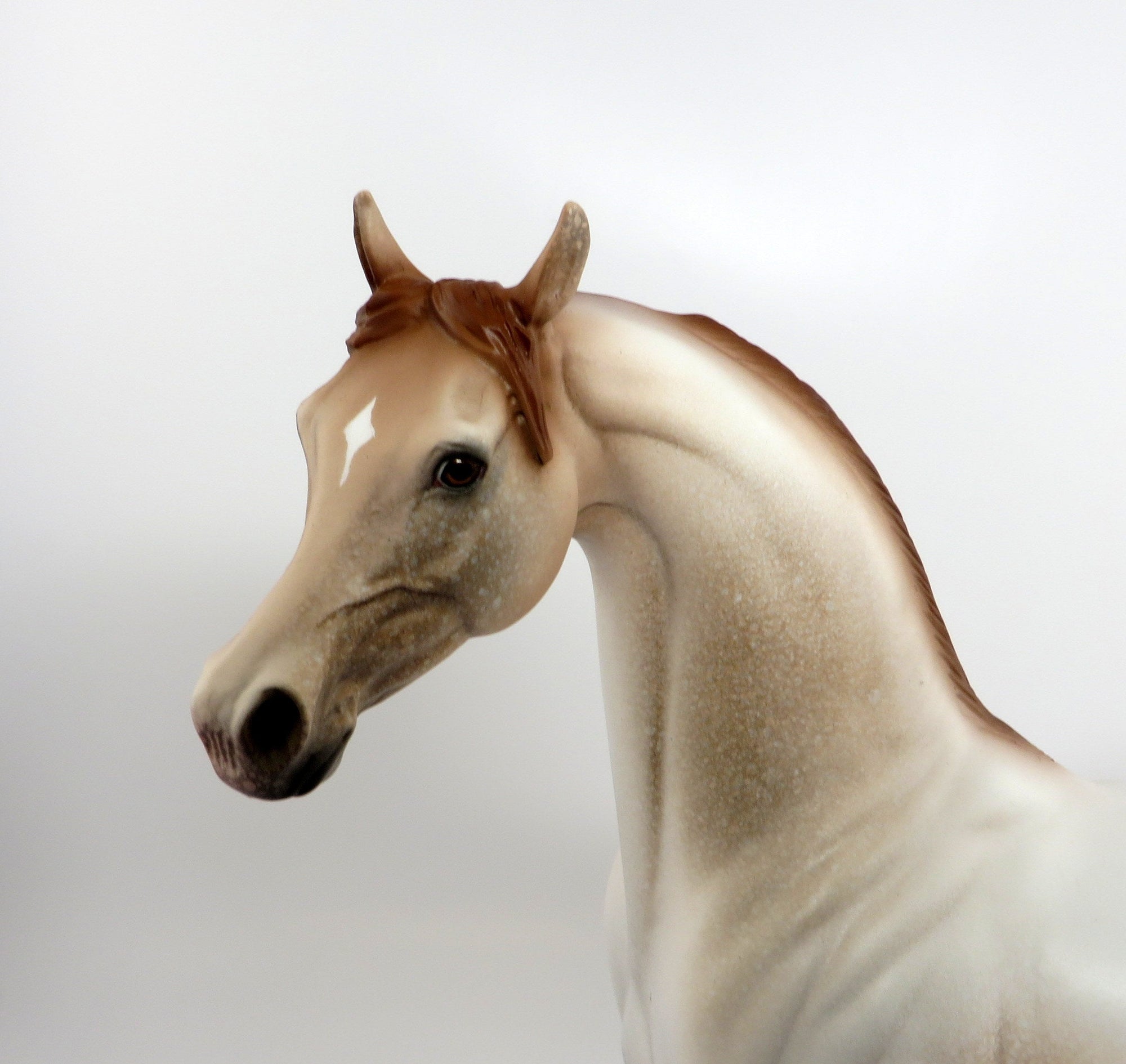 I&#39;M A GEM-OOAK CHESTNUT ROAN ARABIAN MODEL HORSE 2/20