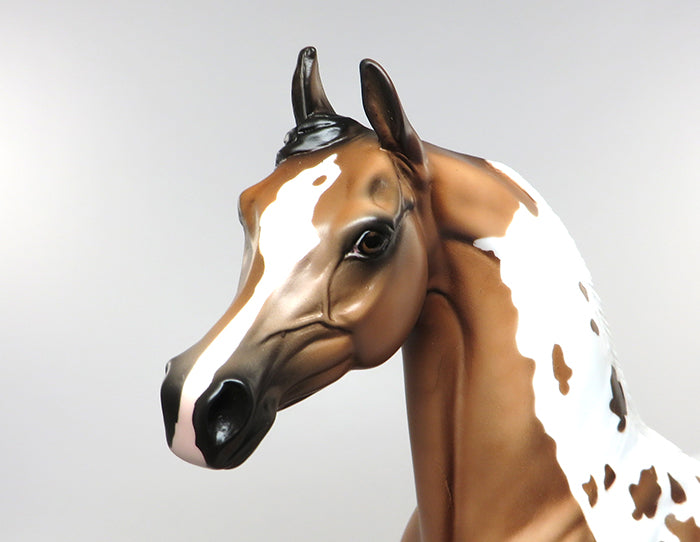 GENIE IN A BOTTLE-LE-5 BAY TOBIANO MAWARI NON CUSTOM VERSION ARABIAN MODEL HORSE EQ 2016 7/28