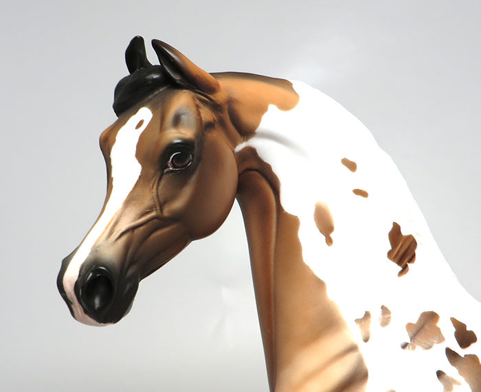 GENIE IN A BOTTLE-LE-12-BAY TOBIANO MAWARI ARABIAN MODEL HORSE EQ 2016 7/28