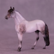 Gentleman Caller OOAK Chip Andalusian by Anna Rieck VV26