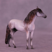 Gentleman Caller OOAK Chip Andalusian by Anna Rieck VV26