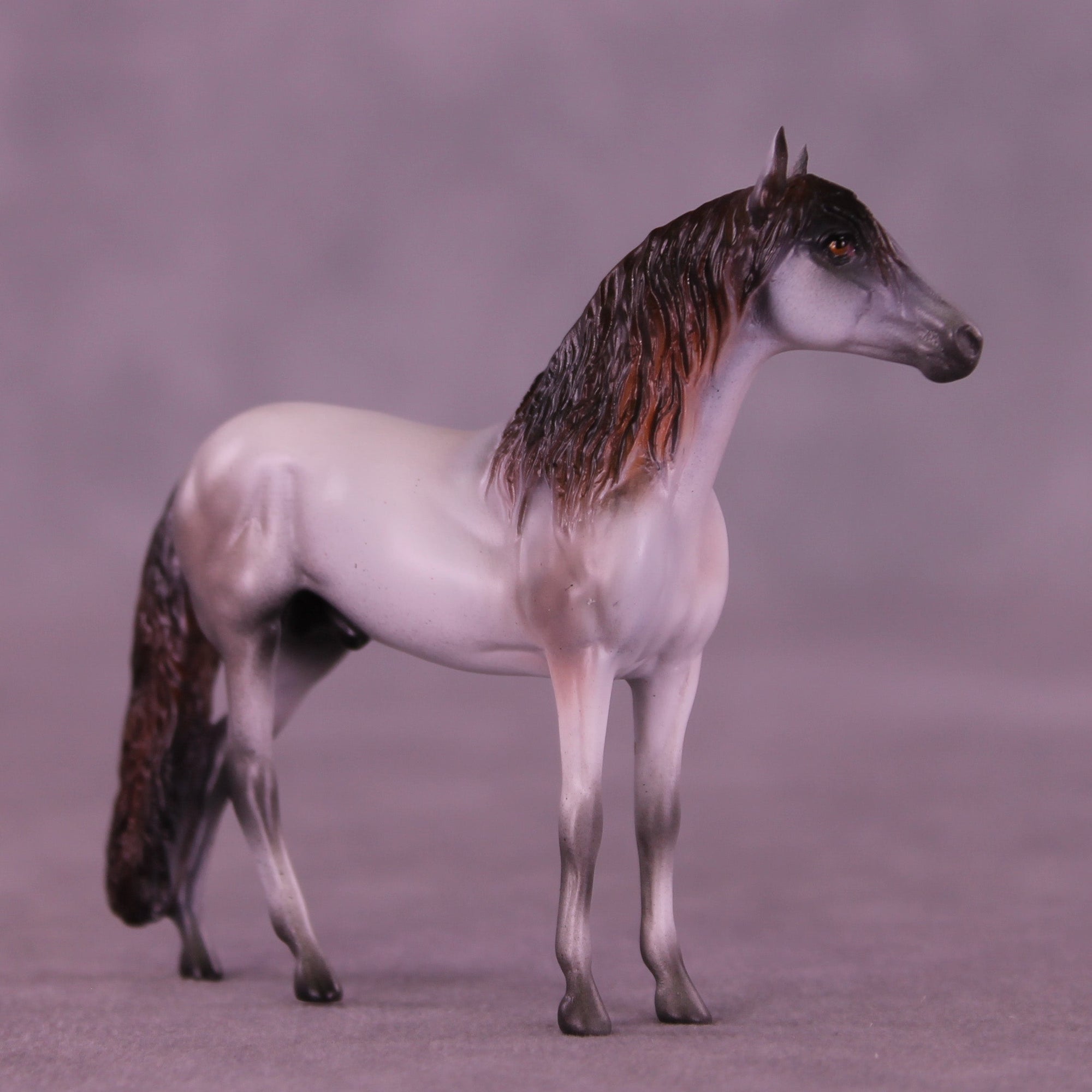 Gentleman Caller OOAK Chip Andalusian by Anna Rieck VV26