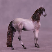 Gentleman Caller OOAK Chip Andalusian by Anna Rieck VV26