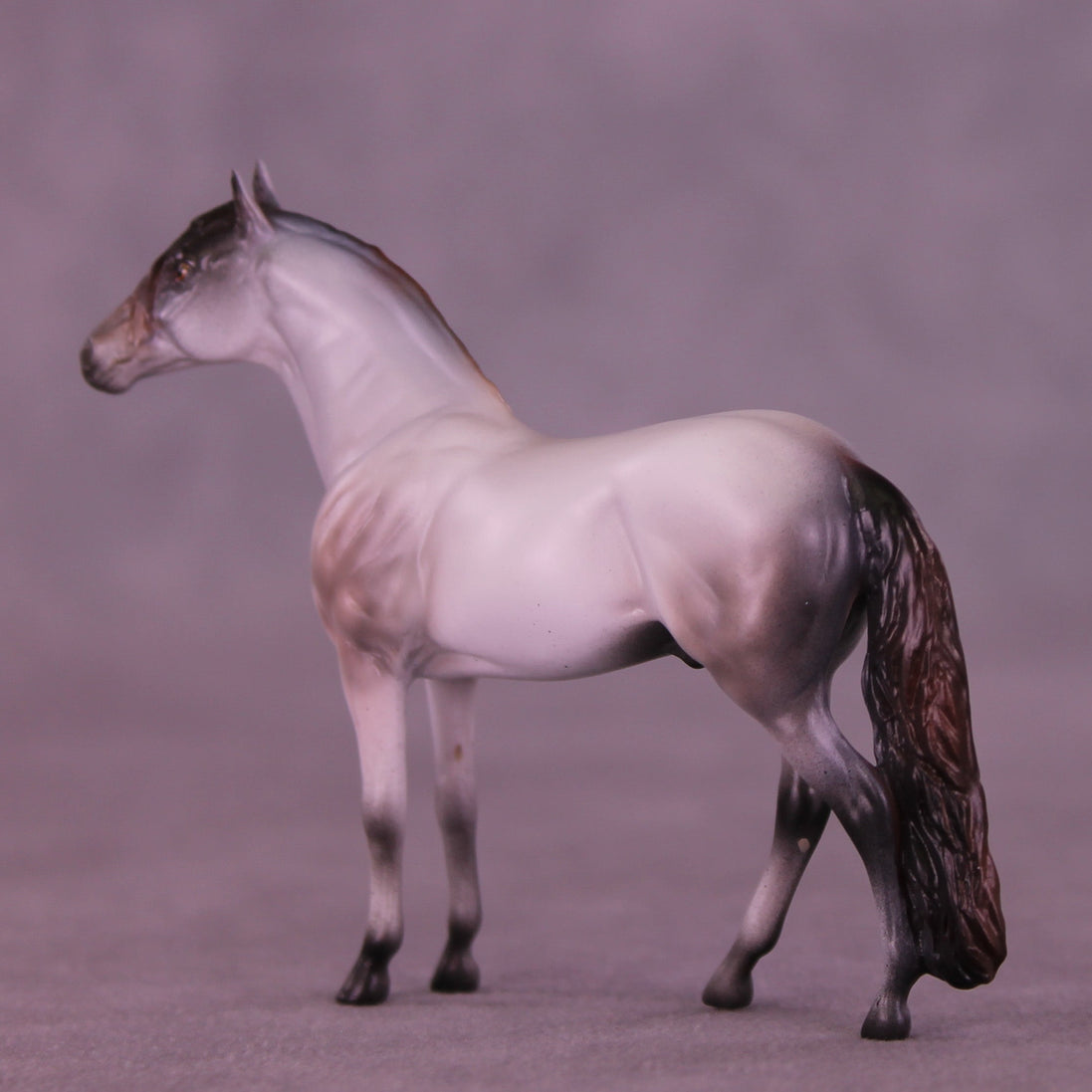 Gentleman Caller OOAK Chip Andalusian by Anna Rieck VV26