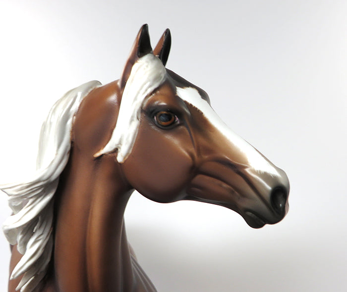 COME ON GET HAPPY-SILVER BAY MORGAN BY SHERYL LEISURE 6/9