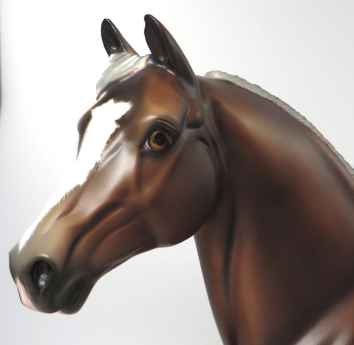 COME ON GET HAPPY-SILVER BAY MORGAN BY SHERYL LEISURE 6/9