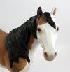 buckskin splash