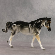 Odin Glossy LE-13 FCM Remington by Jess Hamill