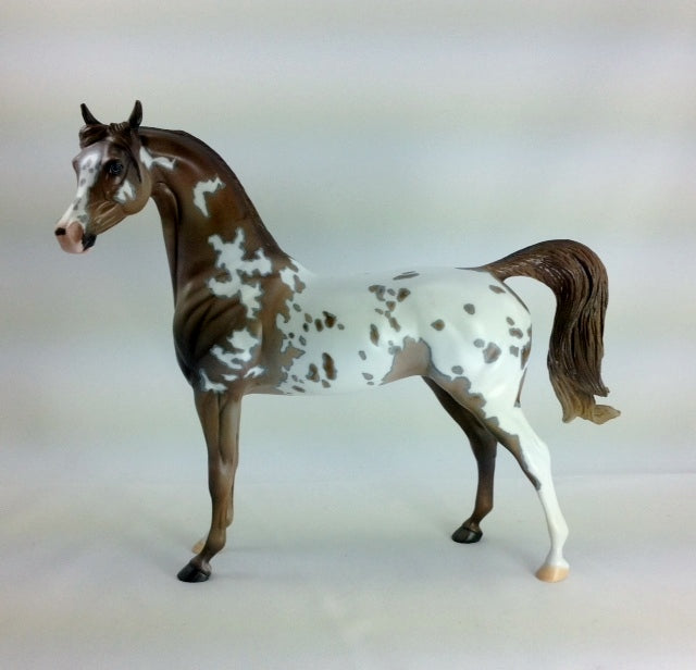 YOU GO GIRL - OOAK Appaloosa Arabian