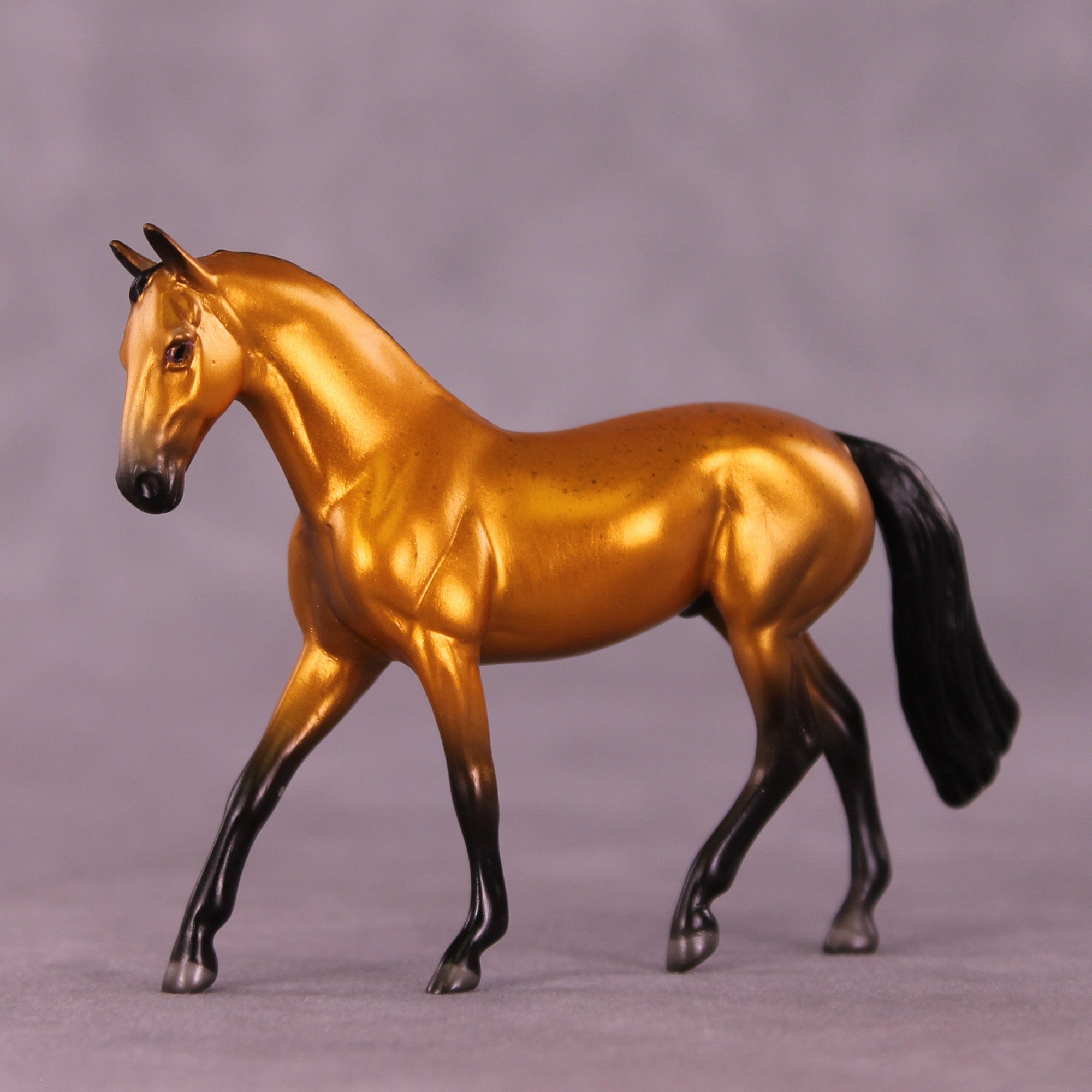 Golden Rob LE-2 Chip Warmblood by Angela Marleau MM25 Group C