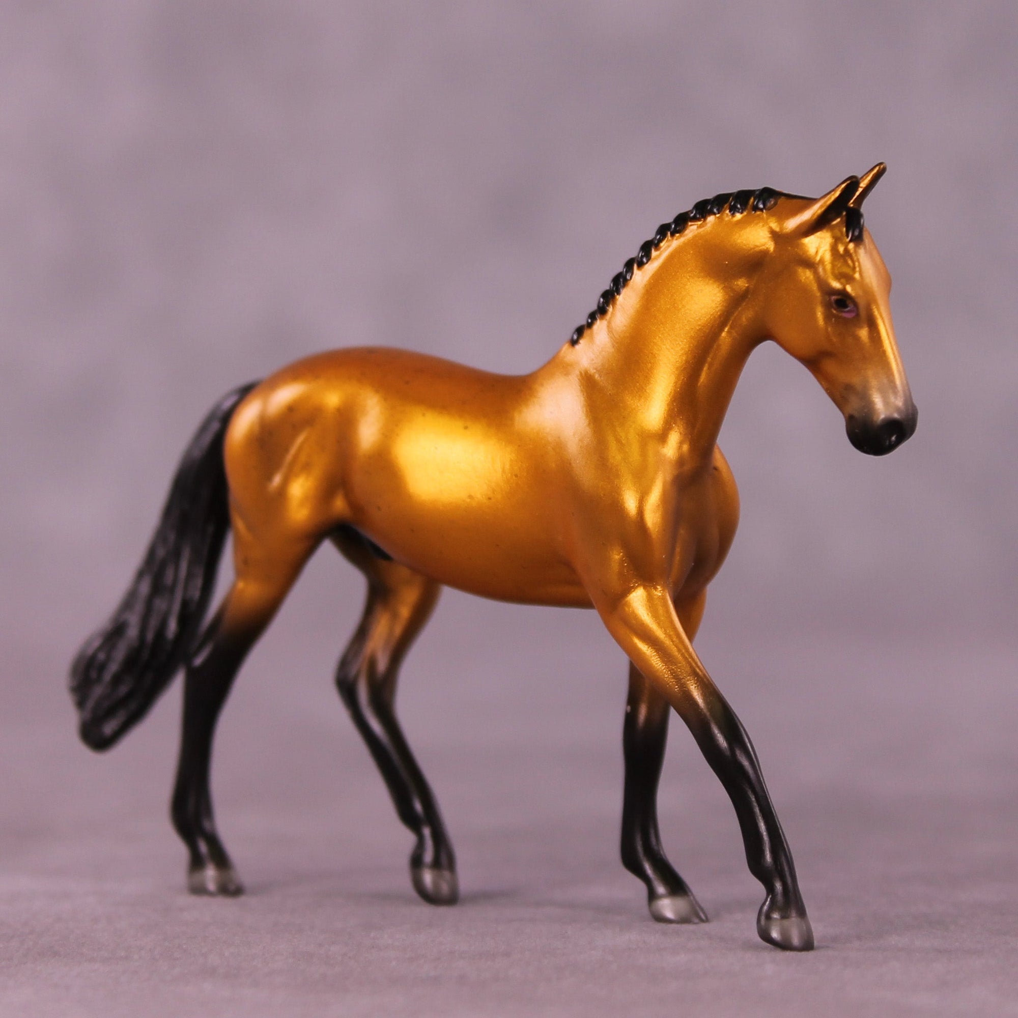 Golden Rob LE-2 Chip Warmblood by Angela Marleau MM25 Group C