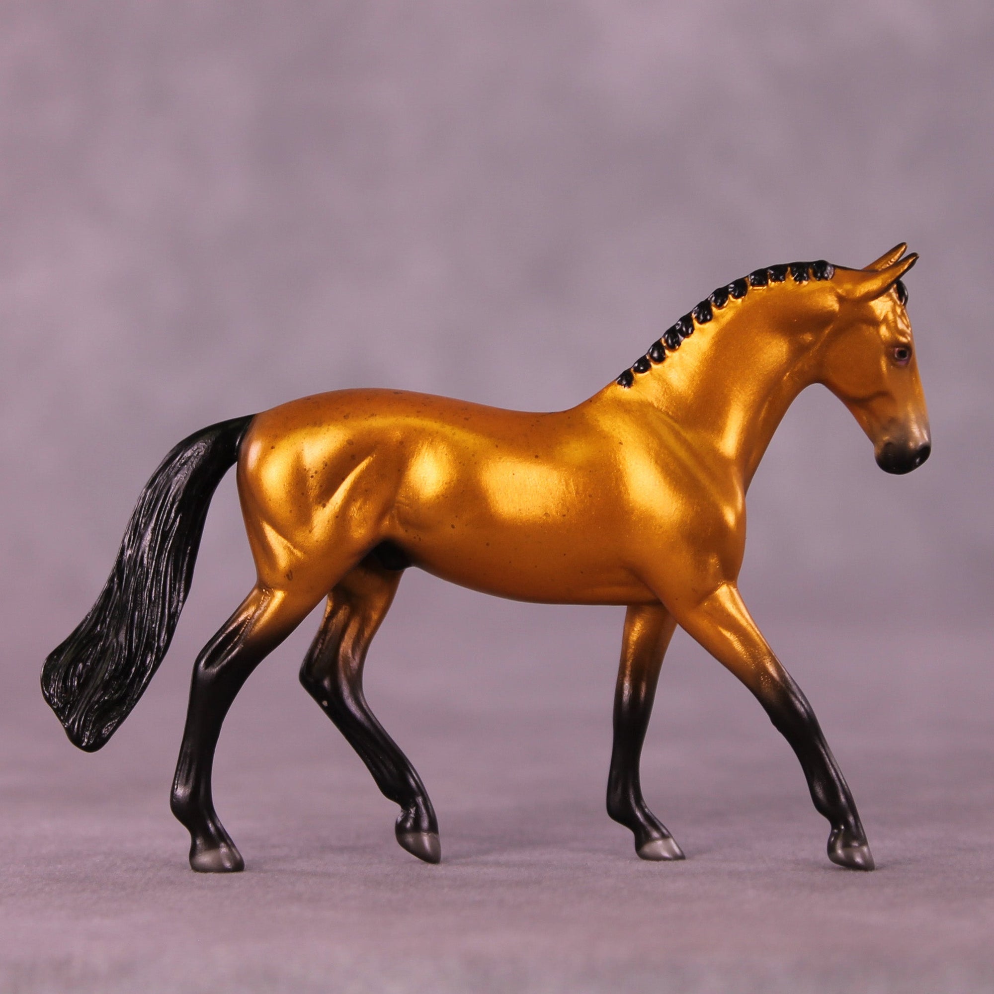 Golden Rob LE-2 Chip Warmblood by Angela Marleau MM25 Group C