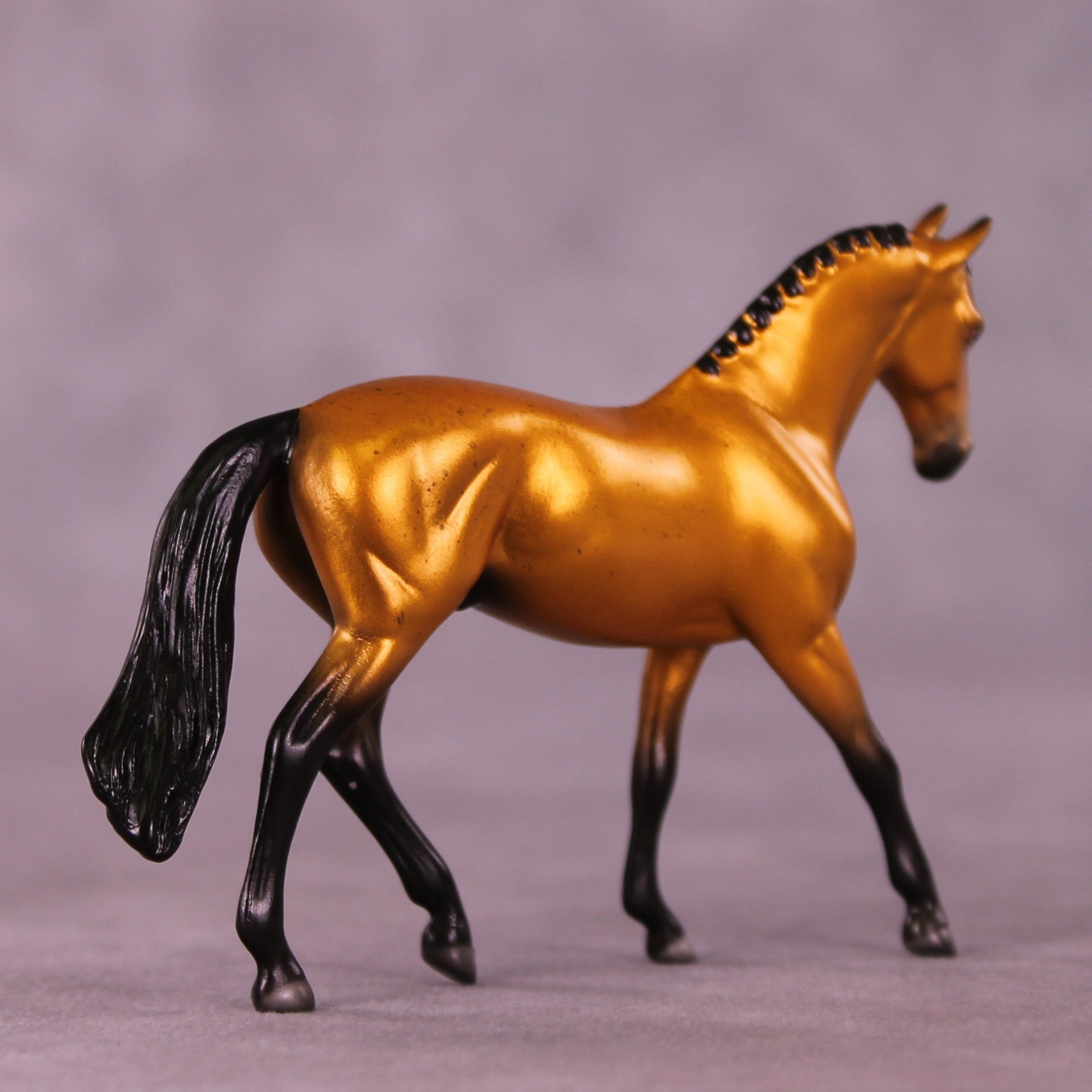 Golden Rob LE-2 Chip Warmblood by Angela Marleau MM25 Group C