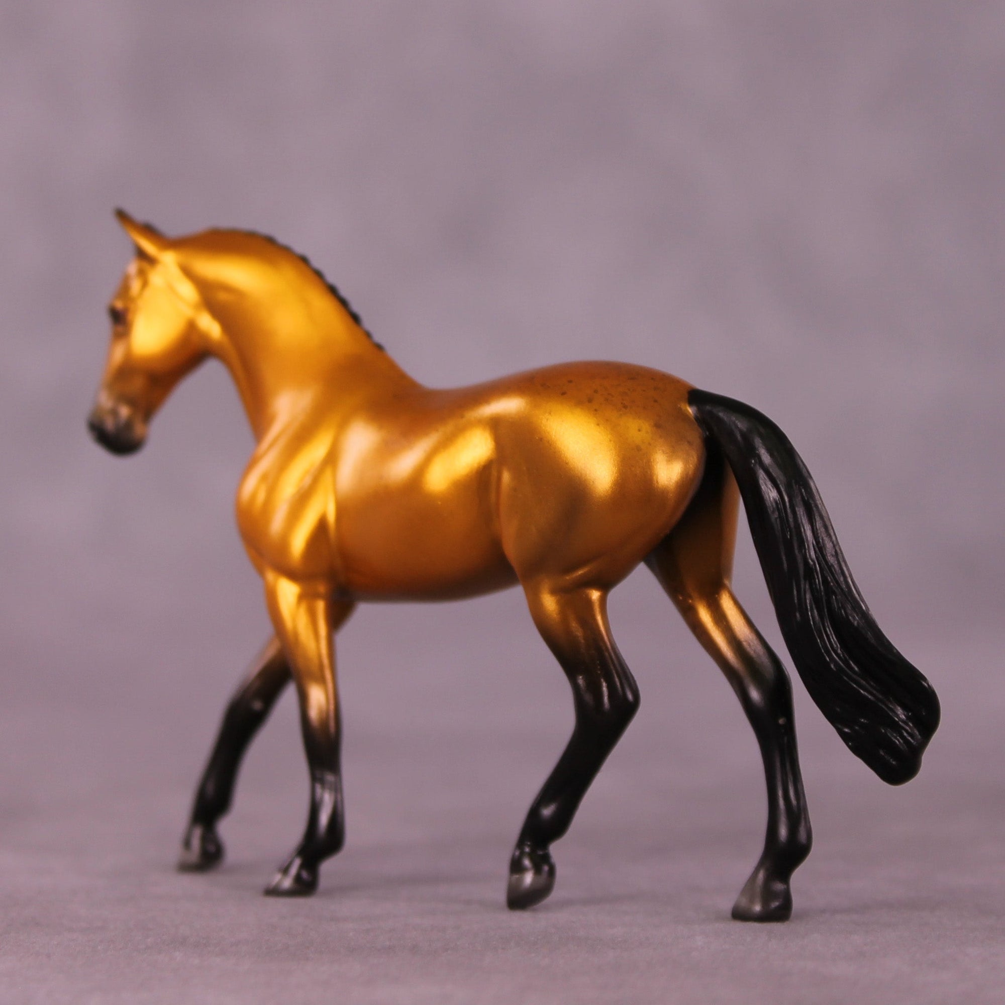 Golden Rob LE-2 Chip Warmblood by Angela Marleau MM25 Group C