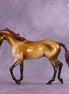 Goldenlight OOAK Thoroughbred by Enrique Duarte HS25