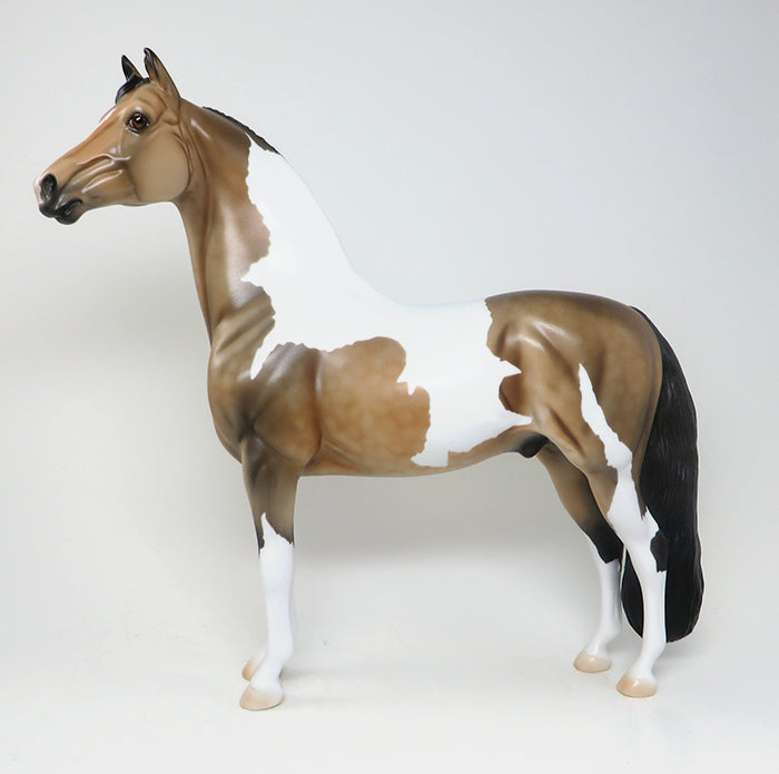 model horse morgan