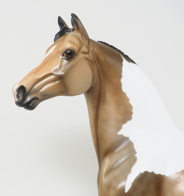 peter stone morgan horse