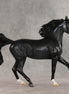 Good Company OOAK FCM Arabian Mare by Julie Keim VV26