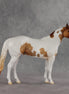 Gossip OOAK FCM Ideal Stock Horse by Jess Hamill VV26