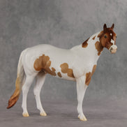 Gossip OOAK FCM Ideal Stock Horse by Jess Hamill VV26
