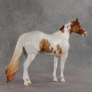 Gossip OOAK FCM Ideal Stock Horse by Jess Hamill VV26