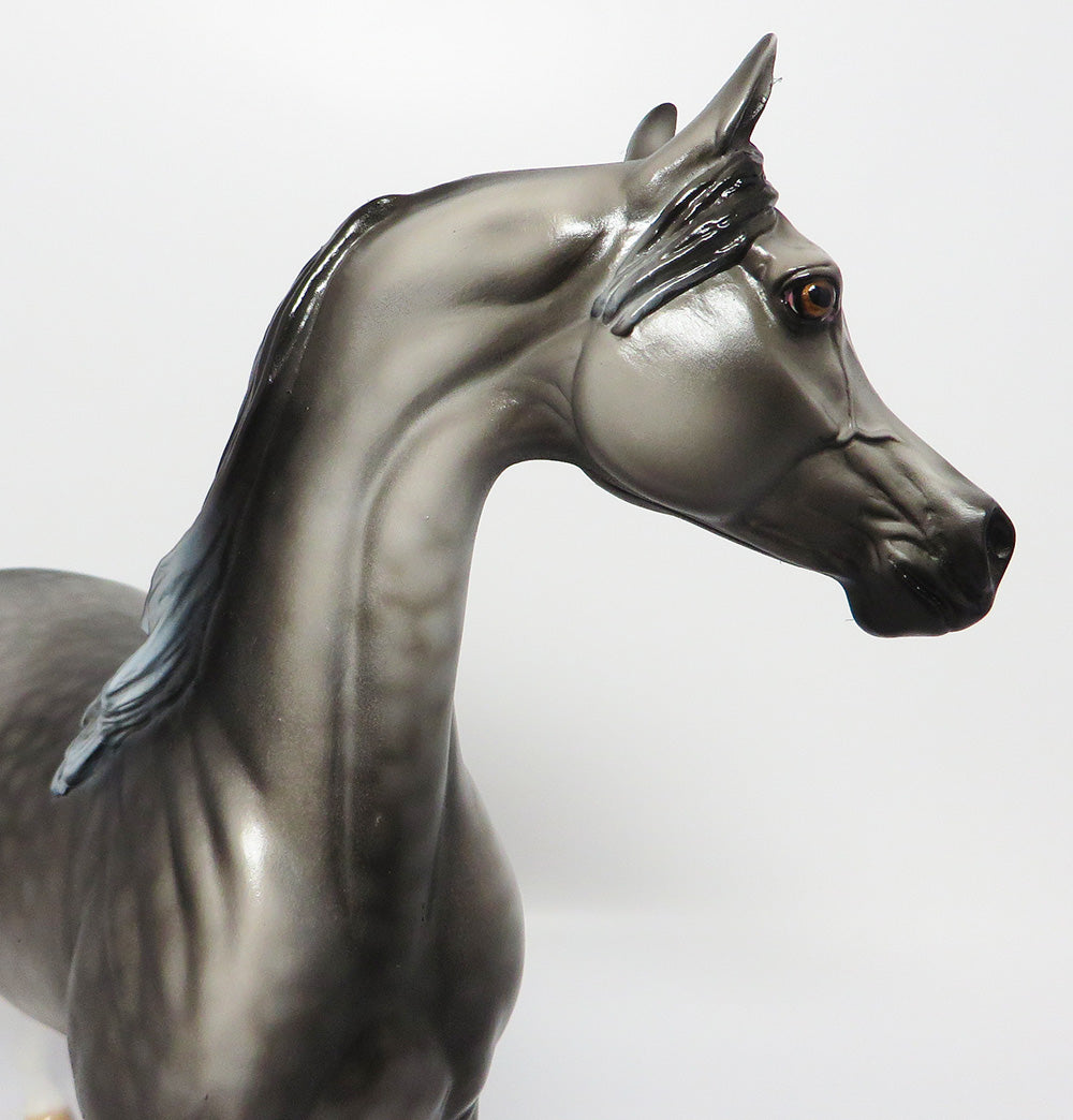 GRACE~OOAK DAPPLE GREY ARABIAN MODEL HORSE EQ 2017