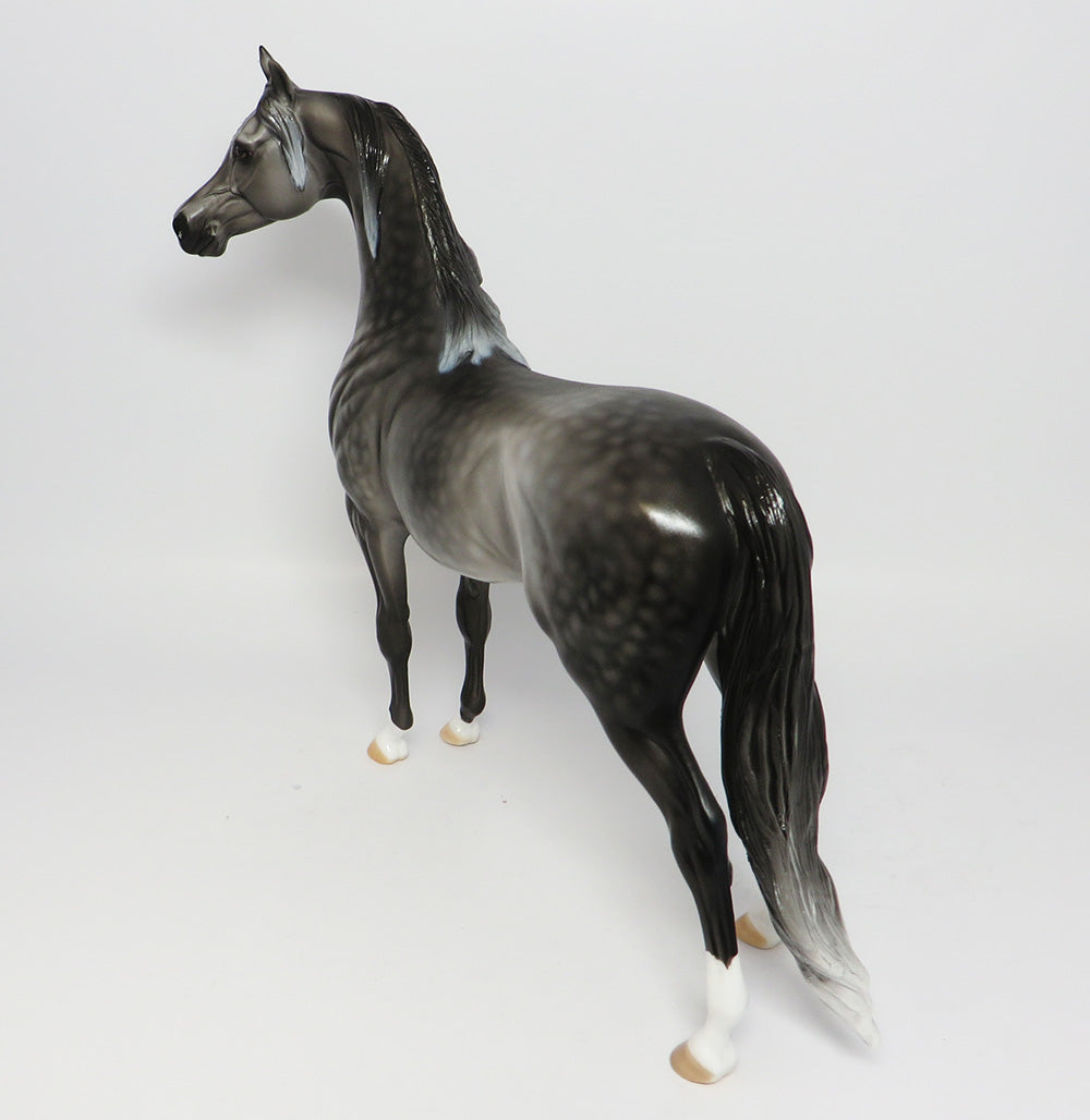 GRACE~OOAK DAPPLE GREY ARABIAN MODEL HORSE EQ 2017