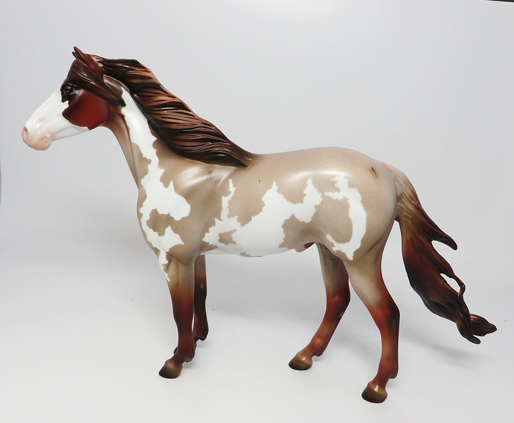 GRAND CANYON- LE-15 CHESNUT ROAN PINTO SPANISH MUSTANG BY JULIE KEIM EQ 2017