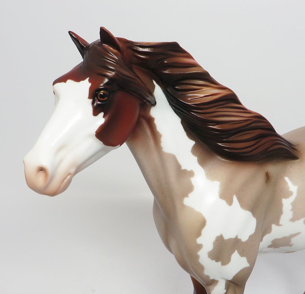 GRAND CANYON- LE-15 CHESNUT ROAN PINTO SPANISH MUSTANG BY JULIE KEIM EQ 2017