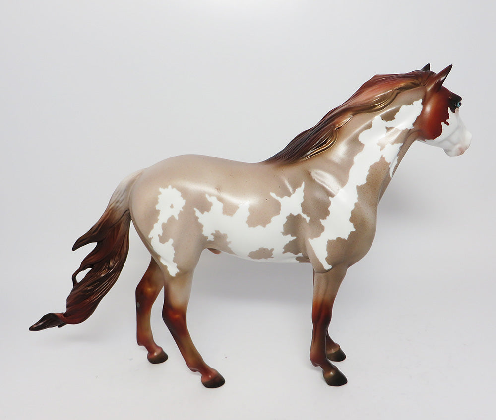 GRAND CANYON- LE-15 CHESNUT ROAN PINTO SPANISH MUSTANG BY JULIE KEIM EQ 2017