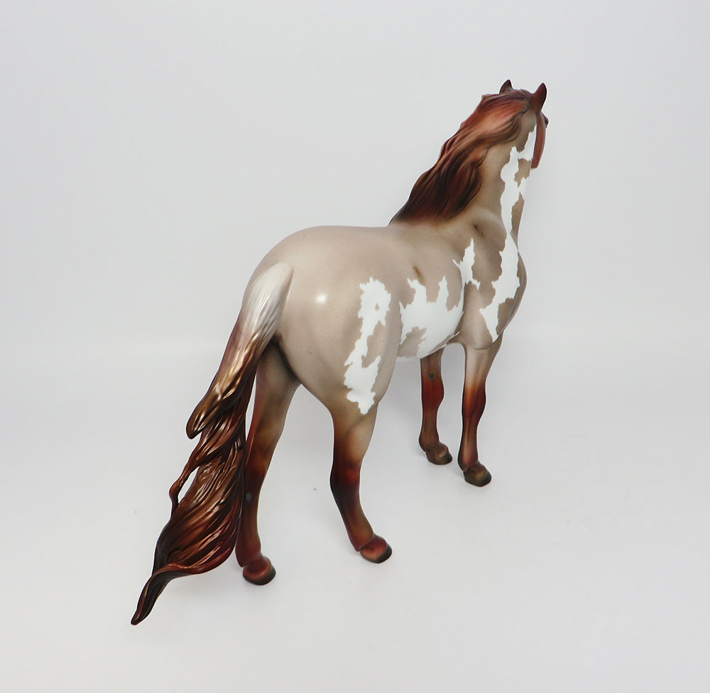 GRAND CANYON- LE-15 CHESNUT ROAN PINTO SPANISH MUSTANG BY JULIE KEIM EQ 2017