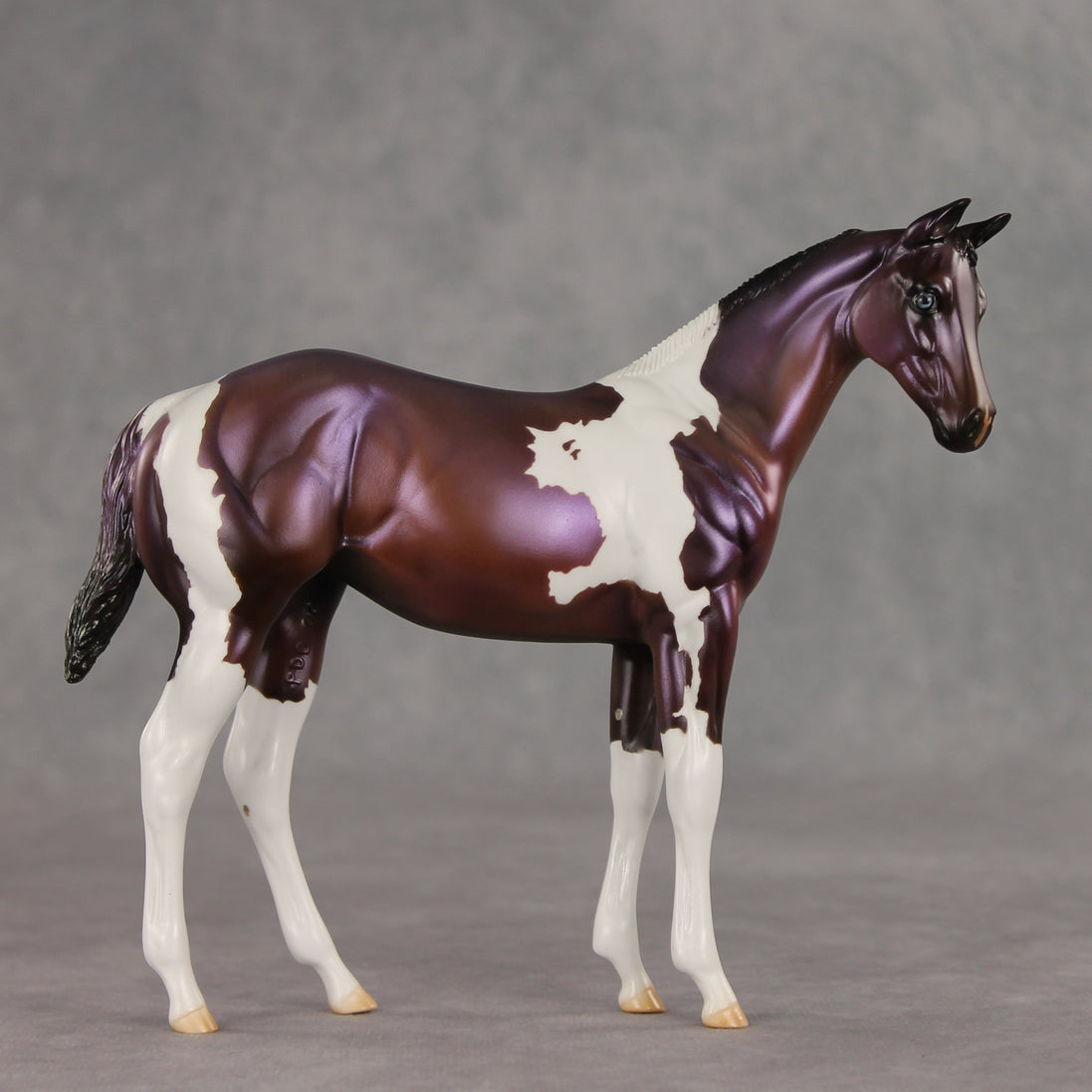 Grape Jelly OOAK Stock Horse Weanling by Julie Keim VV26