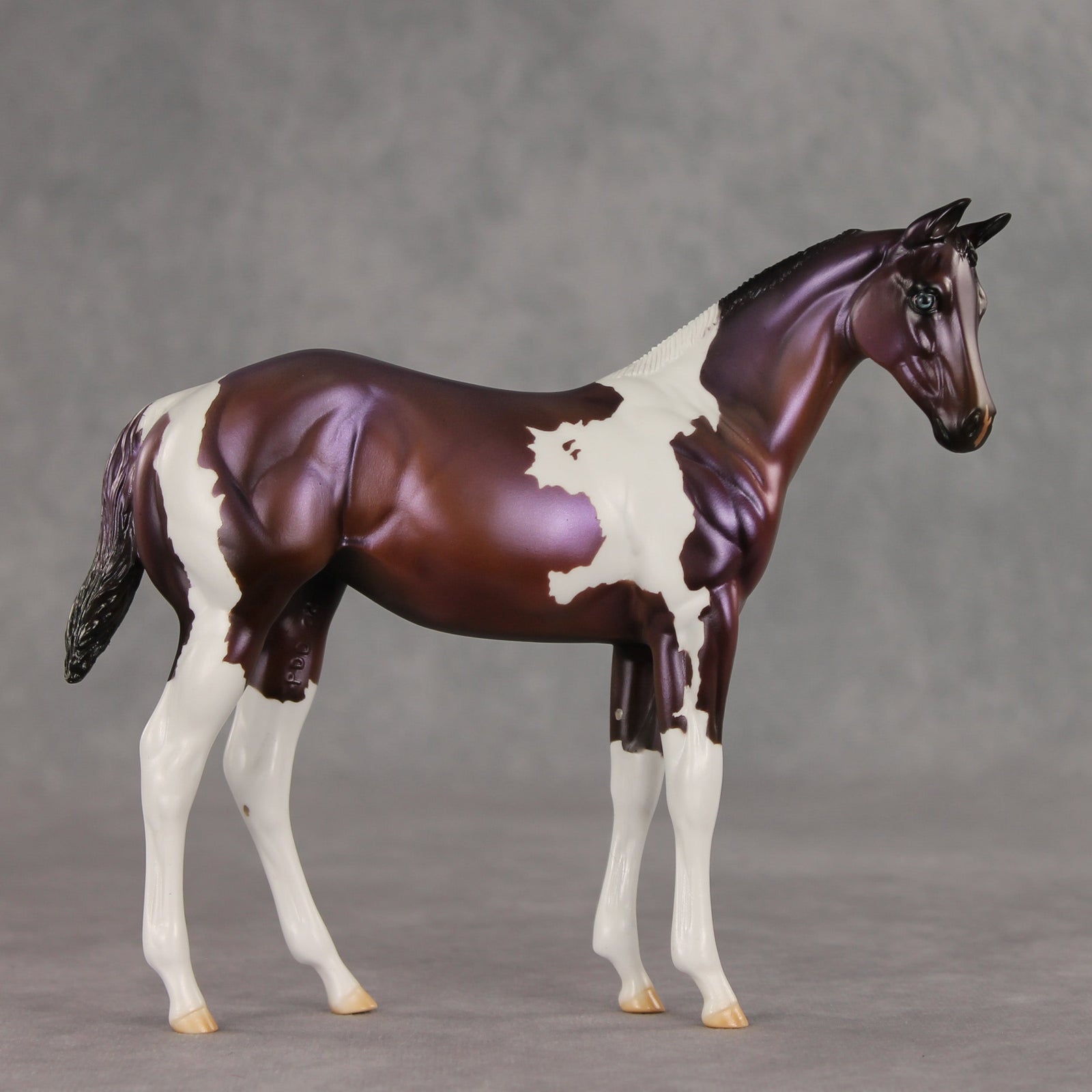 Grape Jelly OOAK Stock Horse Weanling by Julie Keim VV26