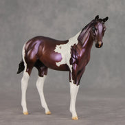 Grape Jelly OOAK Stock Horse Weanling by Julie Keim VV26