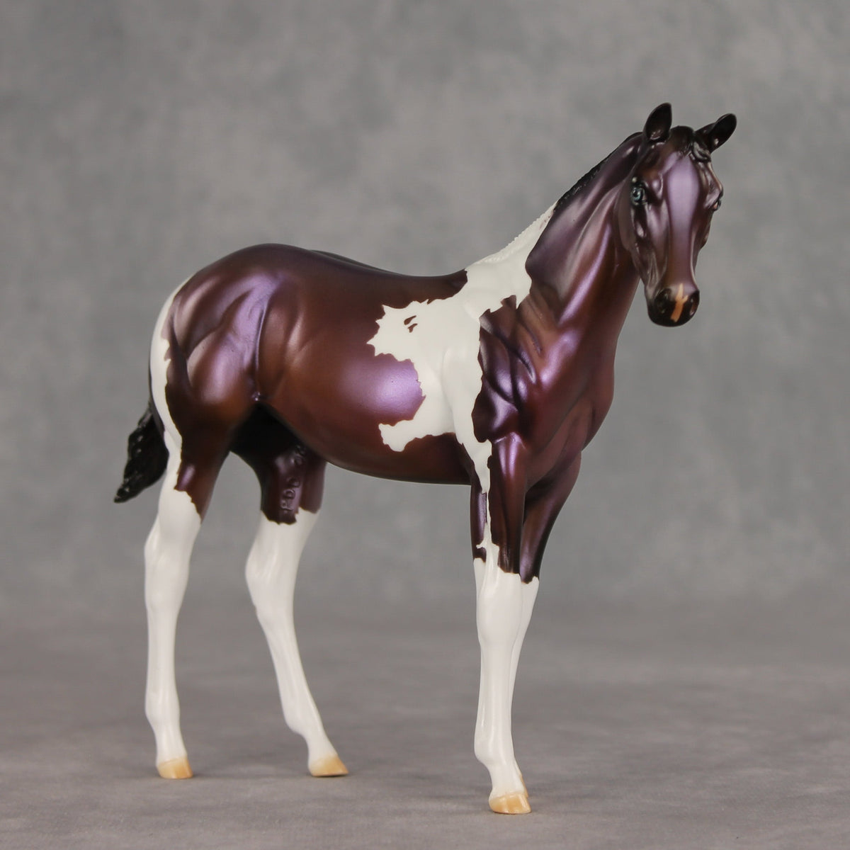 Grape Jelly OOAK Stock Horse Weanling by Julie Keim VV26