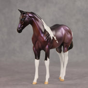 Grape Jelly OOAK Stock Horse Weanling by Julie Keim VV26