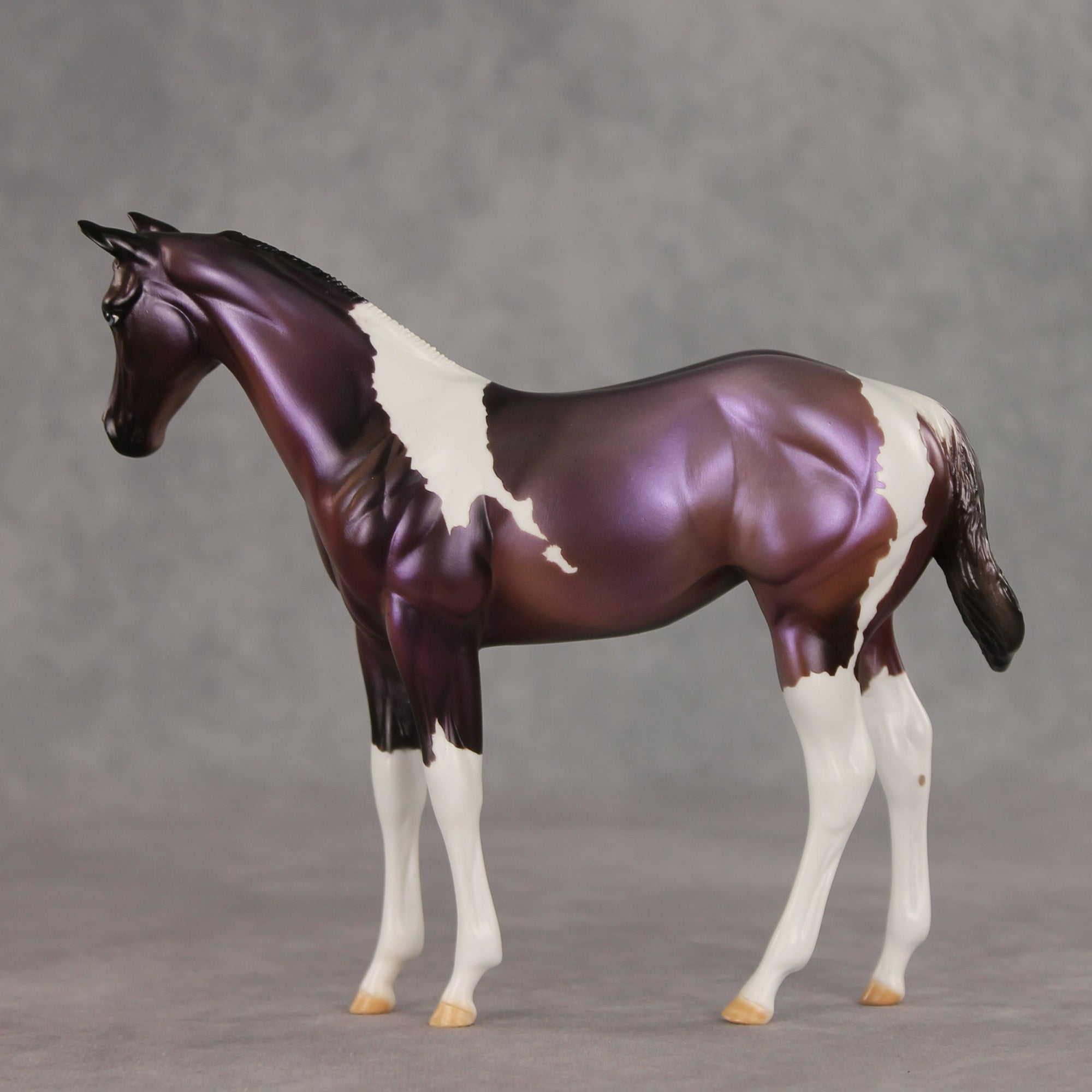 Grape Jelly OOAK Stock Horse Weanling by Julie Keim VV26