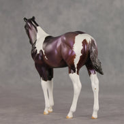 Grape Jelly OOAK Stock Horse Weanling by Julie Keim VV26