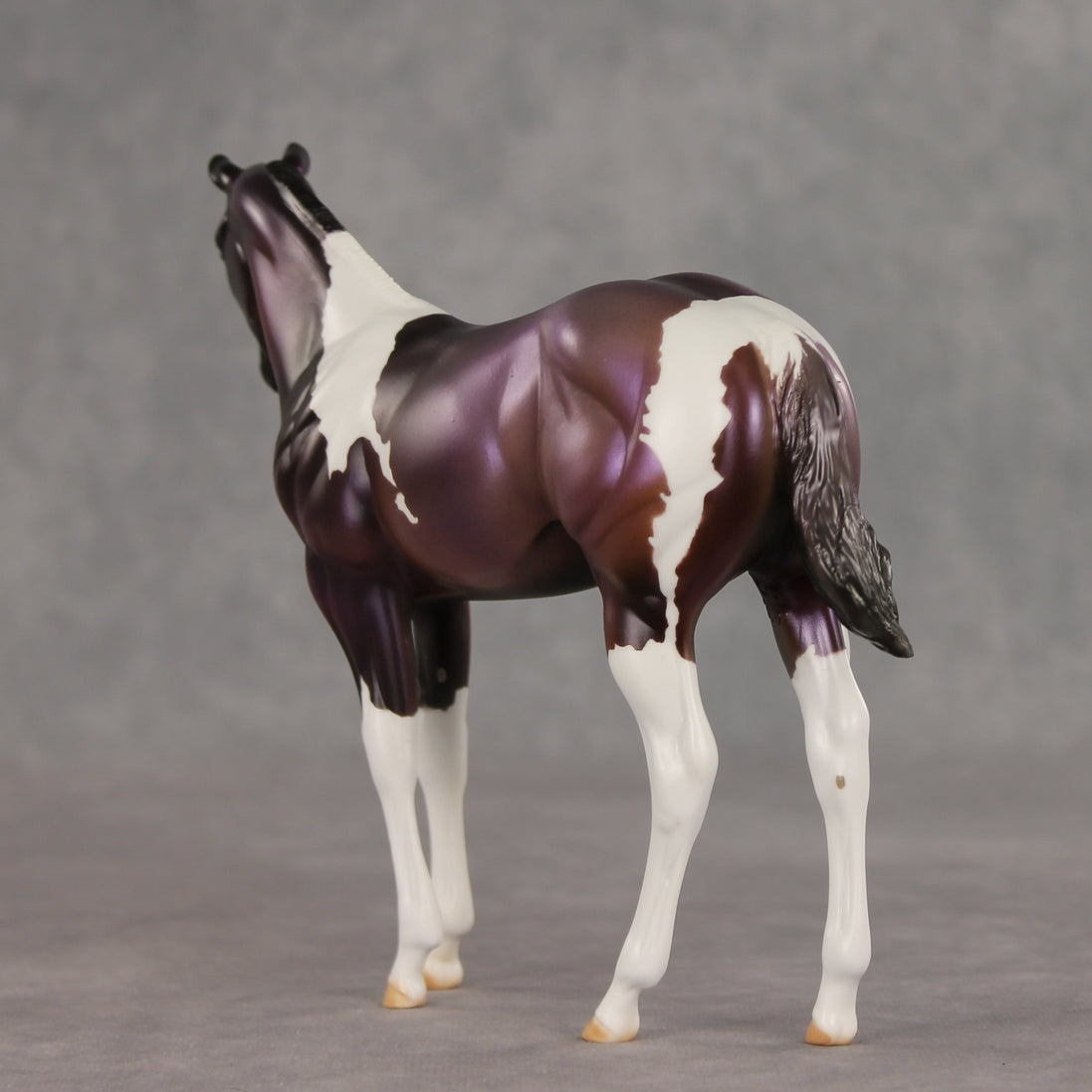 Grape Jelly OOAK Stock Horse Weanling by Julie Keim VV26
