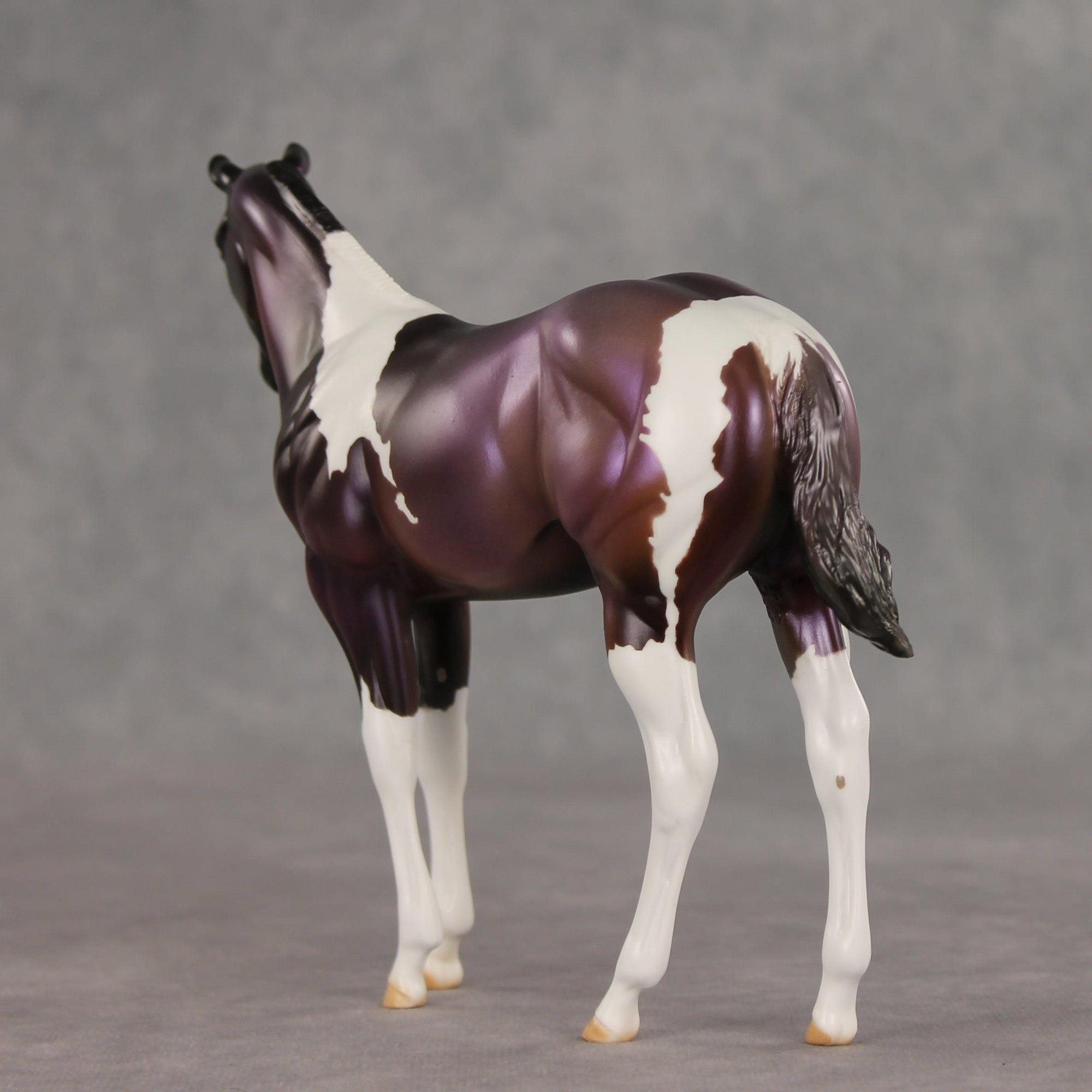 Grape Jelly OOAK Stock Horse Weanling by Julie Keim VV26