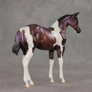 Grape Jelly OOAK Stock Horse Weanling by Julie Keim VV26