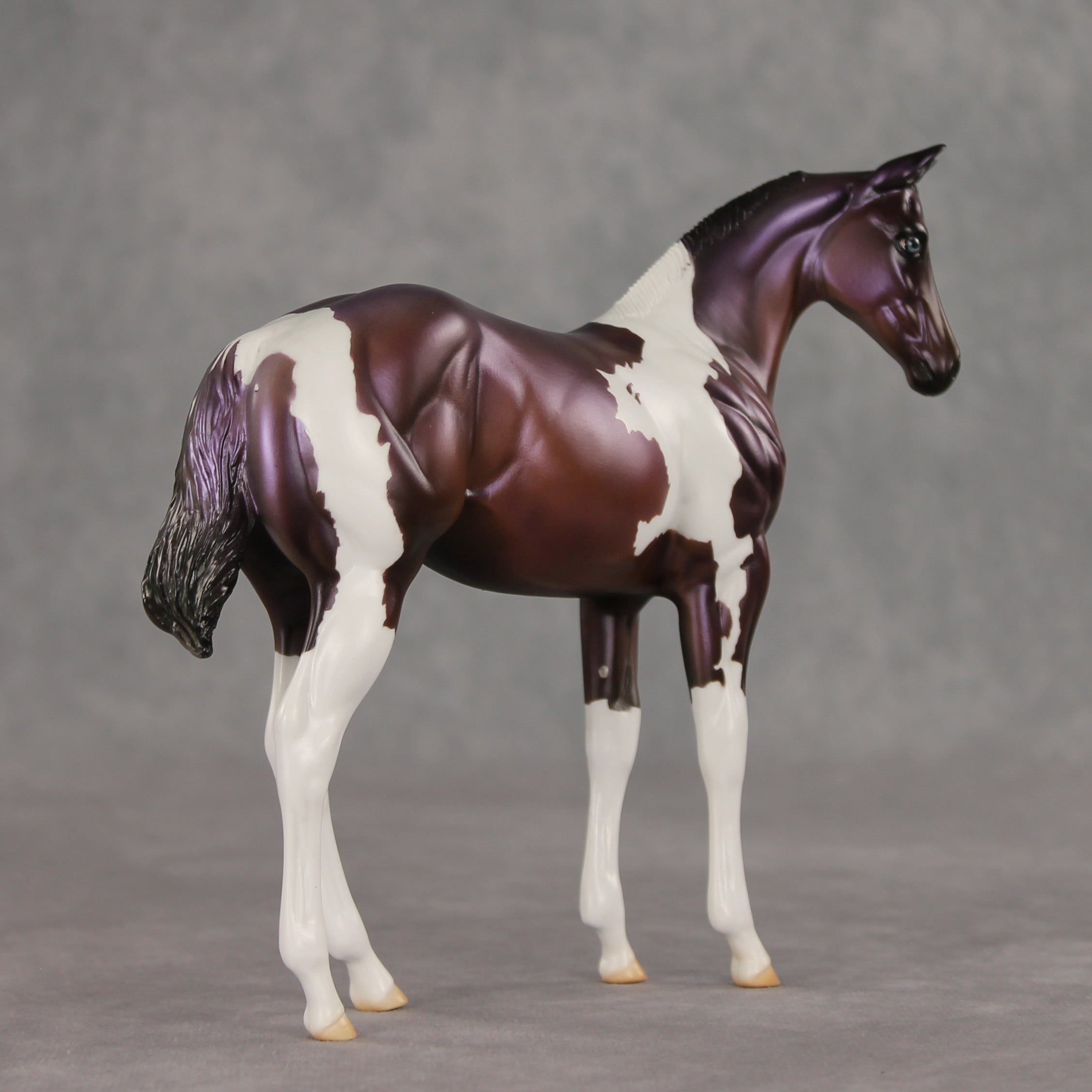 Grape Jelly OOAK Stock Horse Weanling by Julie Keim VV26