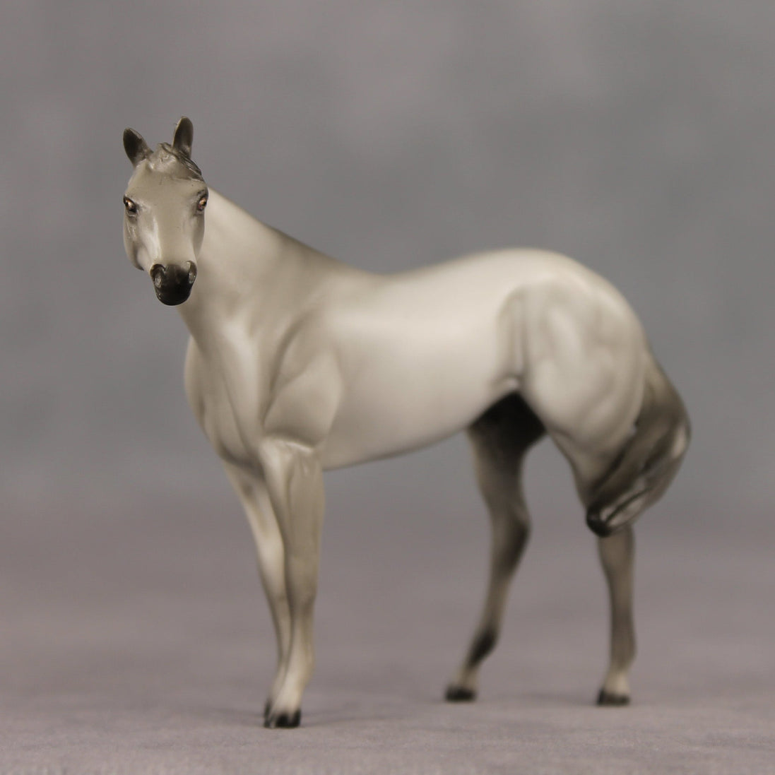 Gray & Proud OOAK FCM Chip Stock Horse by Julie Keim SHCF26