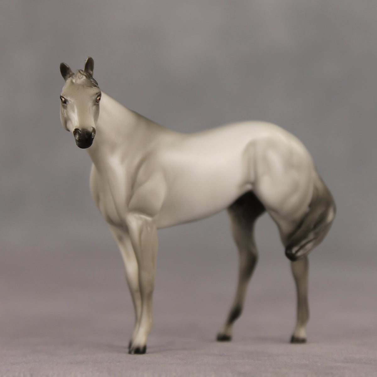 Gray & Proud OOAK FCM Chip Stock Horse by Julie Keim SHCF26