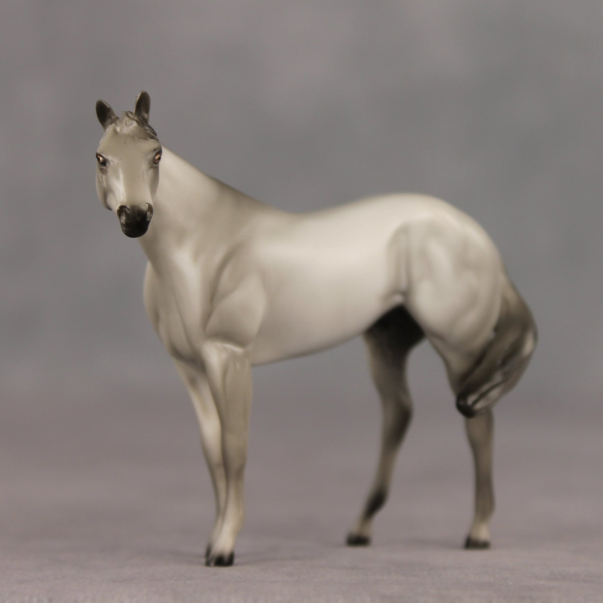 Gray &amp; Proud OOAK FCM Chip Stock Horse by Julie Keim SHCF26
